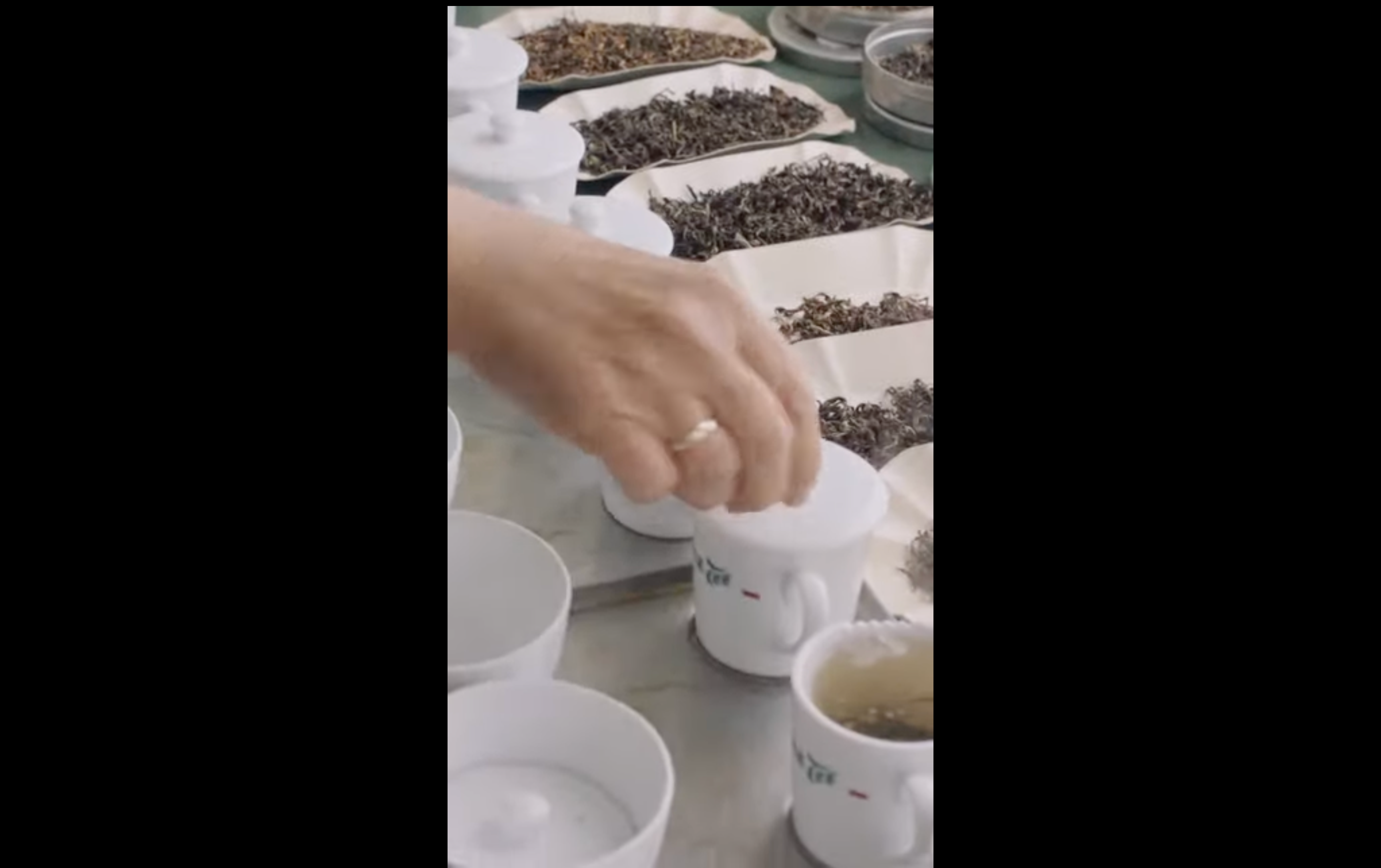 Tree of Tea Produkte bestehen zu 100% aus Bio Zutaten - erfahre hier mehr!