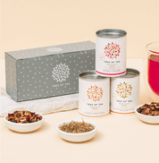 Tree of Tea 3er Mini Früchtetee Set gestapelt