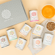 8er Tree of Tea Probierset und ein Teeglas daneben