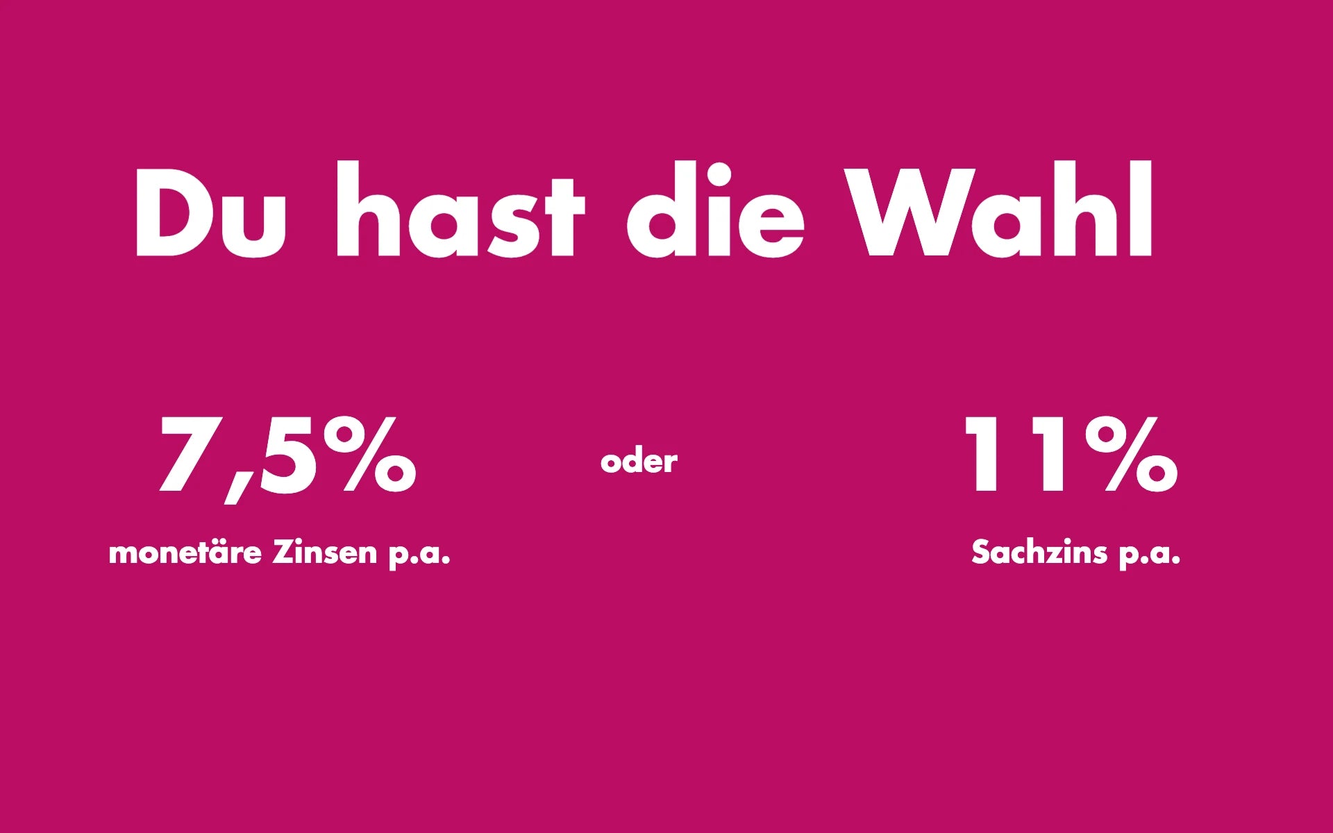 wahl2.webp