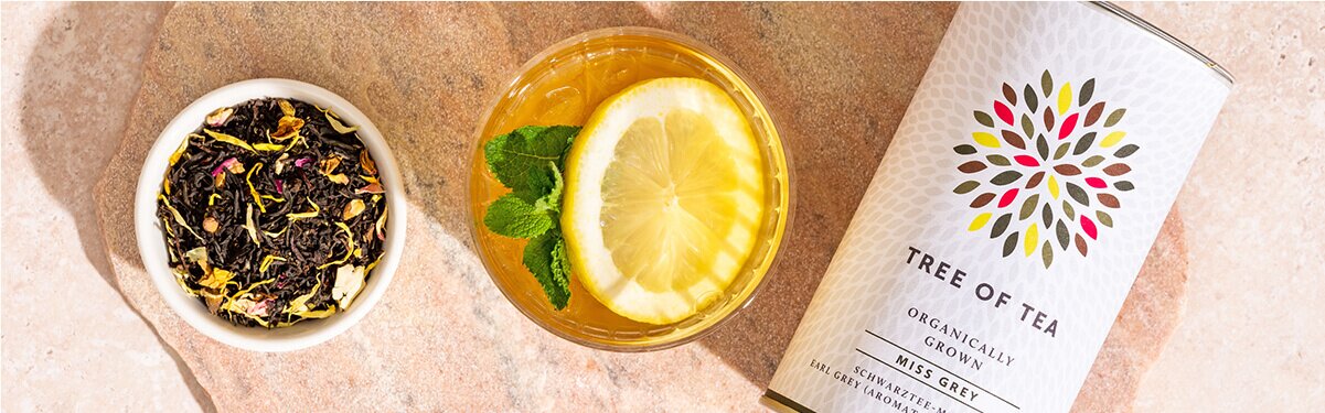 Kombucha mit einem Schälchen Tee daneben