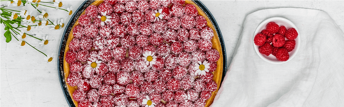 Vegan Raspberry Cheesecake