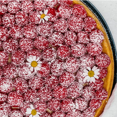 Vegan Raspberry Cheesecake
