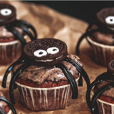 spinnen-Cupcakes