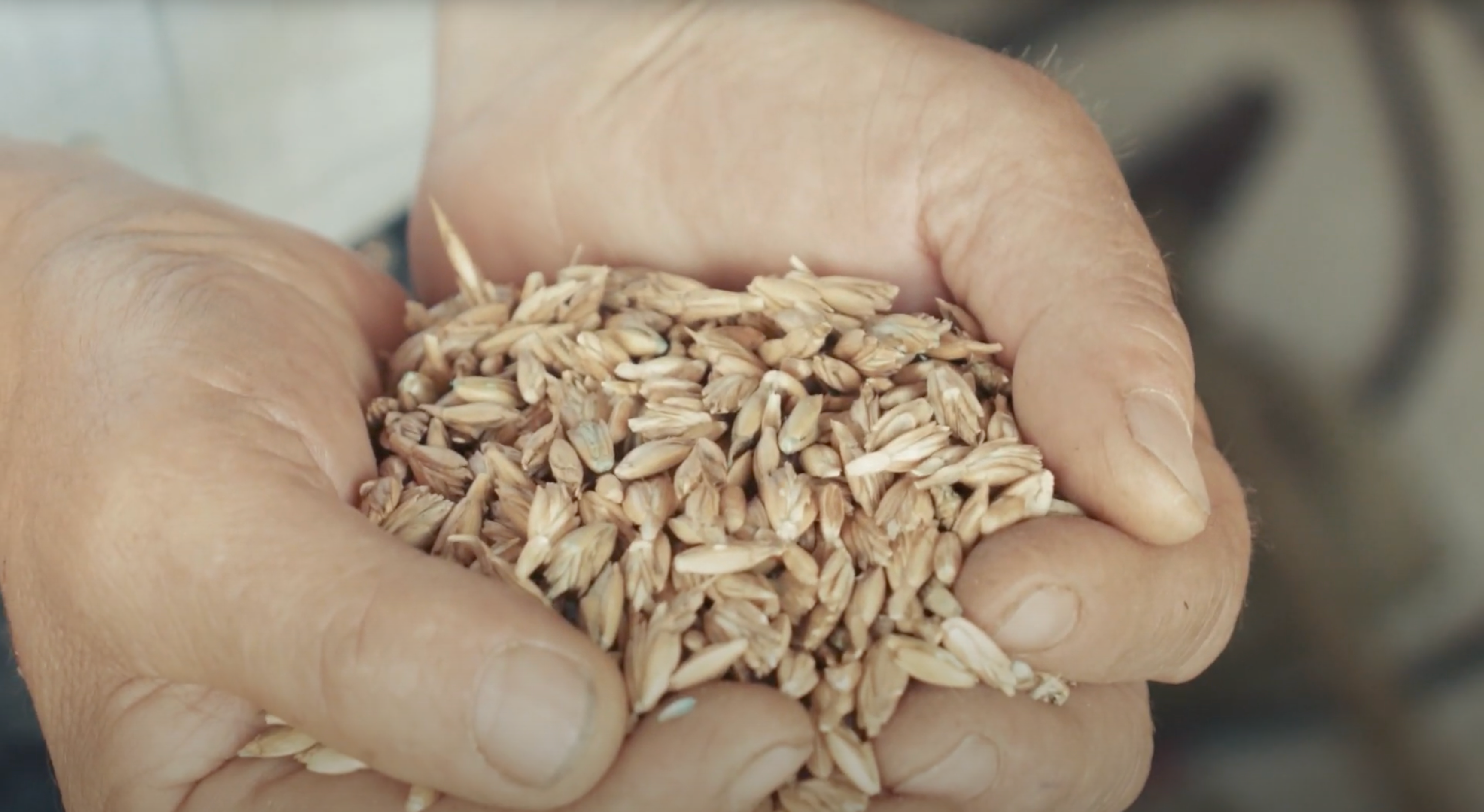 mymuesli Produkte bestehen zu 100% aus Bio Zutaten - erfahre hier mehr!