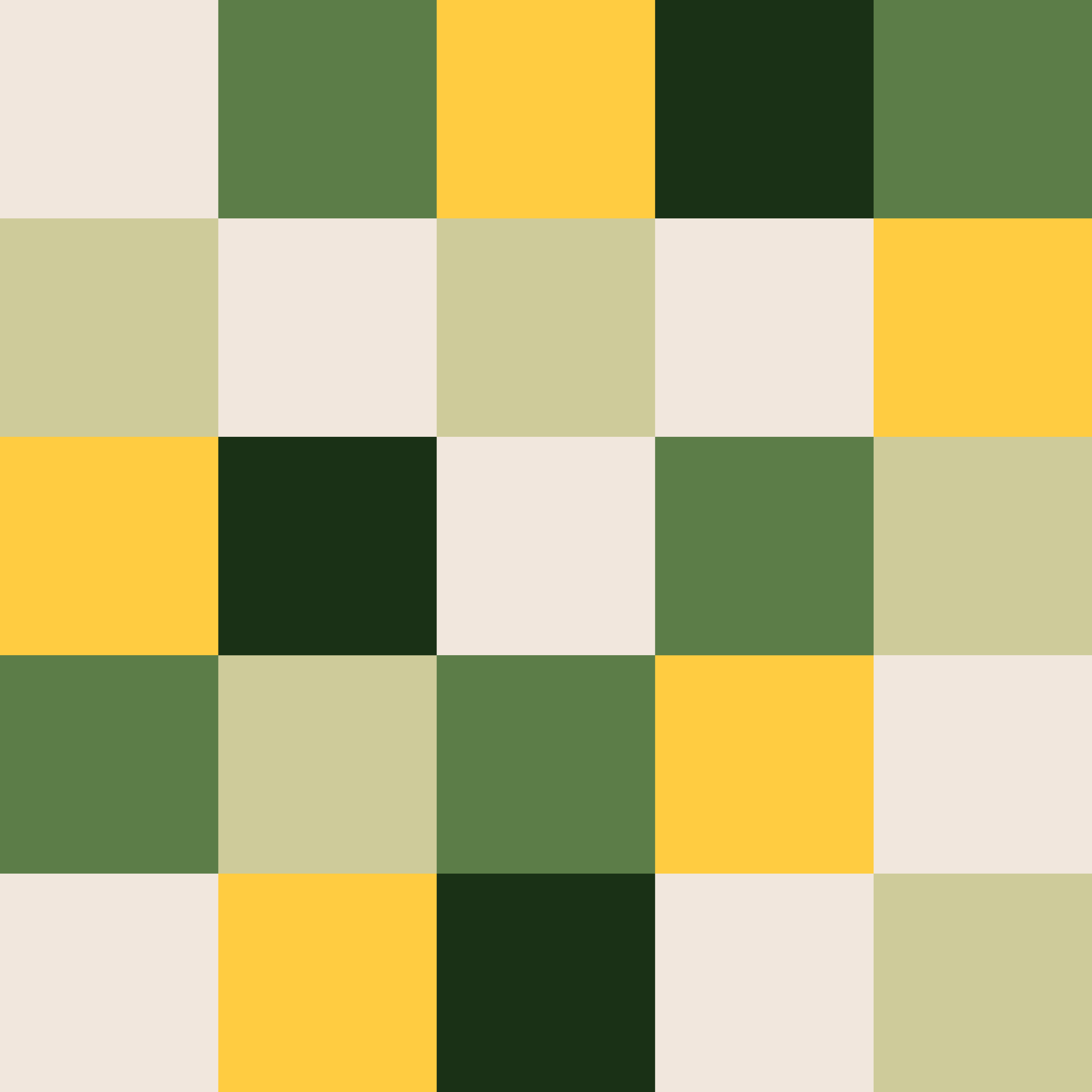 mymuesli Spoiler Grafik - entdecke was sich im Porridge Adventskalender versteckt