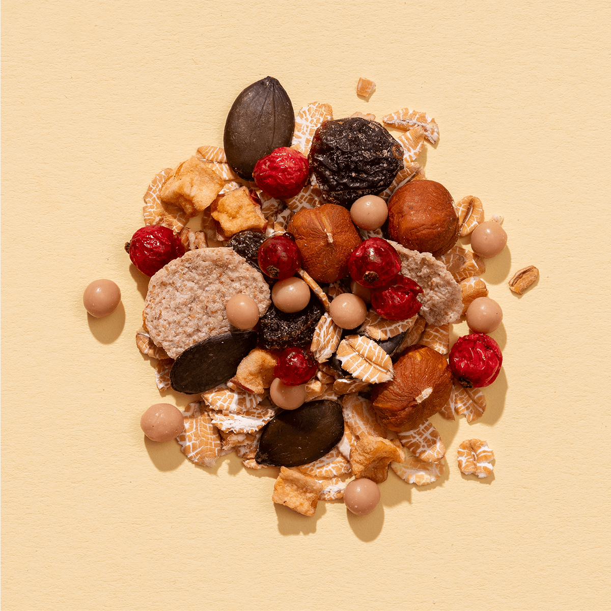 Eine mymuesli Bio Herbst Müsli Zutaten mit Haselnüssen, Salted Caramel Crispies, und Kürbiskernen