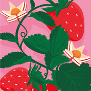 mymuesli Bio Strawberry Cheesecake Müsli Dosendesign Nahaufnahme mit Erdbeeren und Cheesecakeblüten