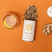 Tree of Tea Ginger Glow Kräutertee
