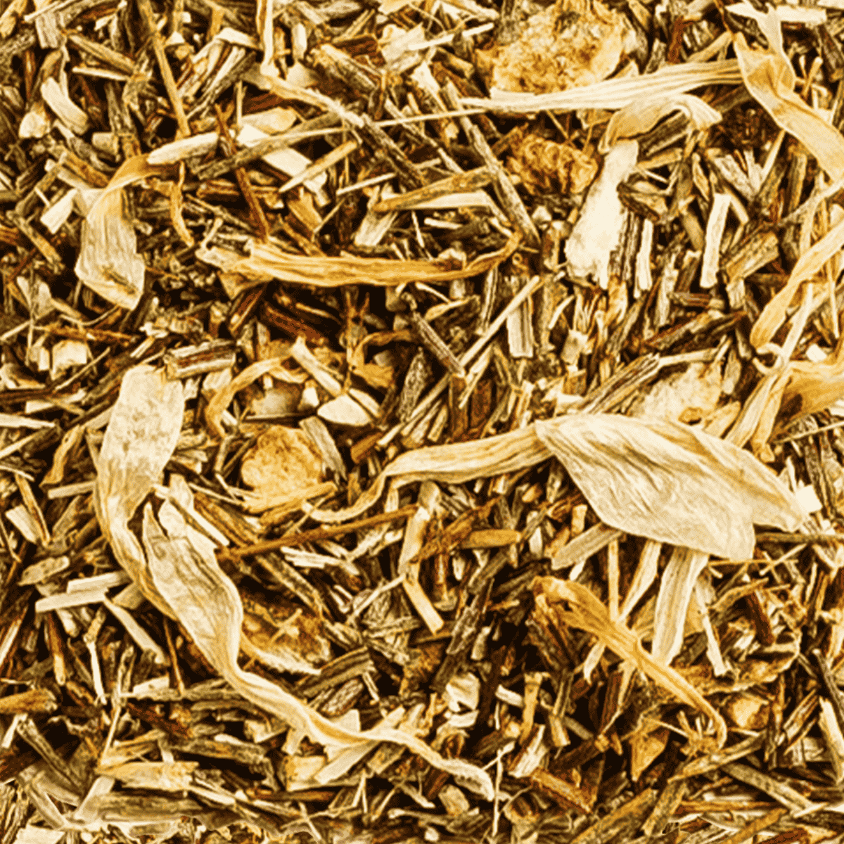 Tree of Tea Roi Lemon Rooibostee