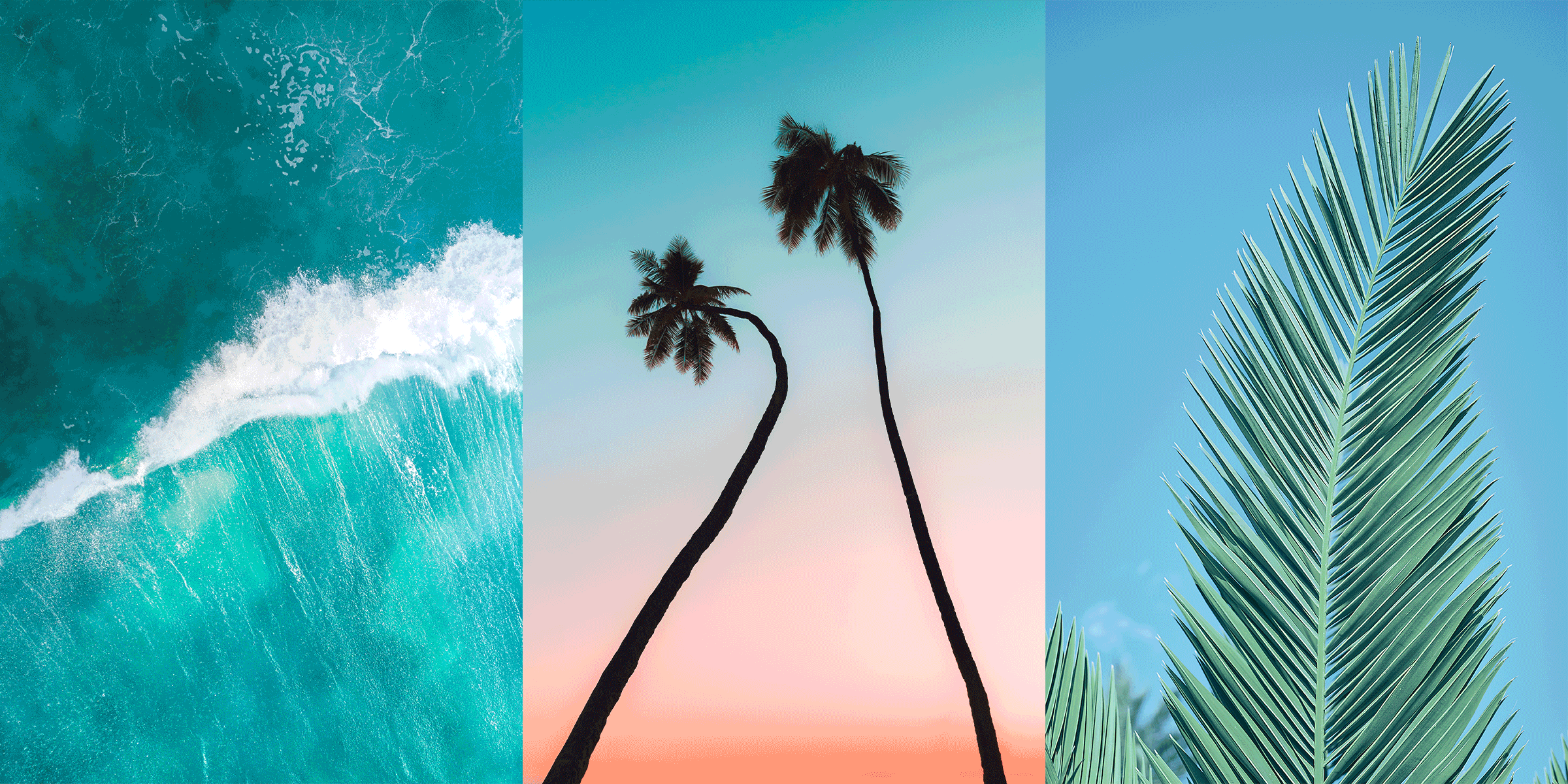 teaser-fotodose-sommer-2025.gif