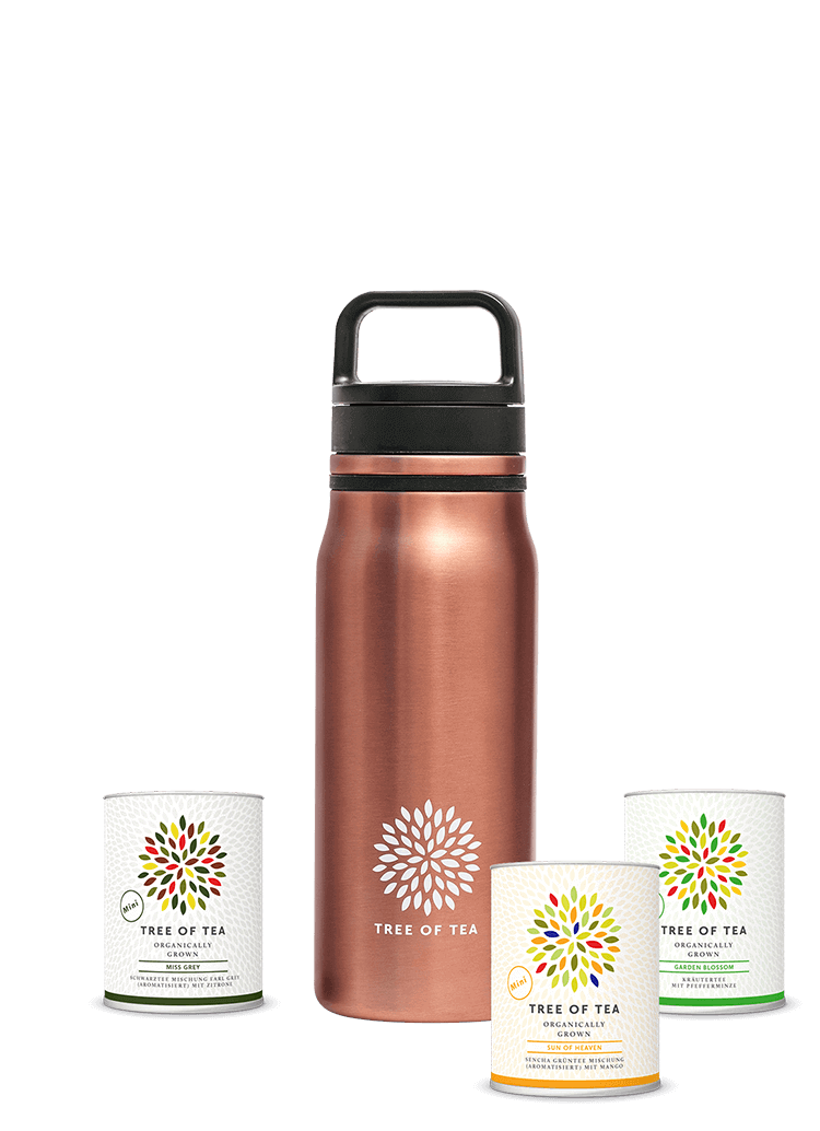 product-thermo2go-set.png