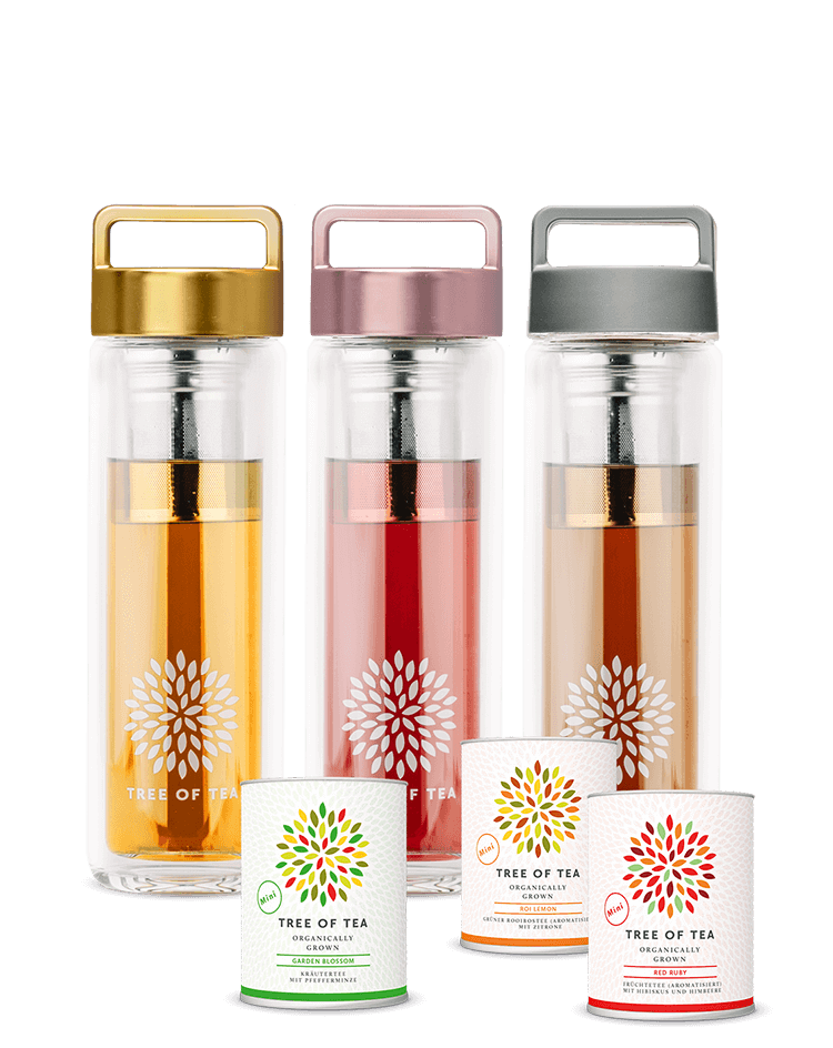 product-tea2go-set-CH.png
