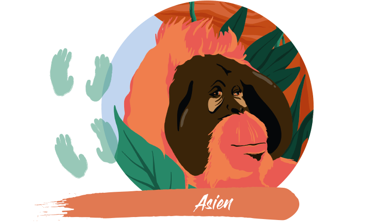 article-asien.png